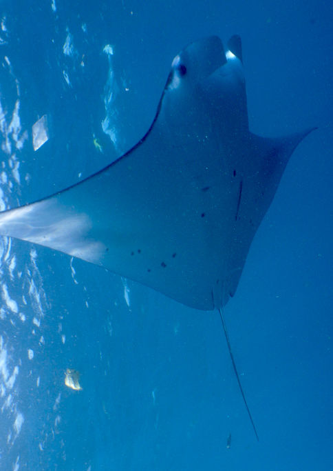 781c32fc-b8a0-4ff0-bbc6-948836cee481