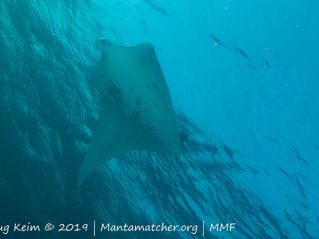 987c567f-94b7-48f8-b08c-71580daacc62