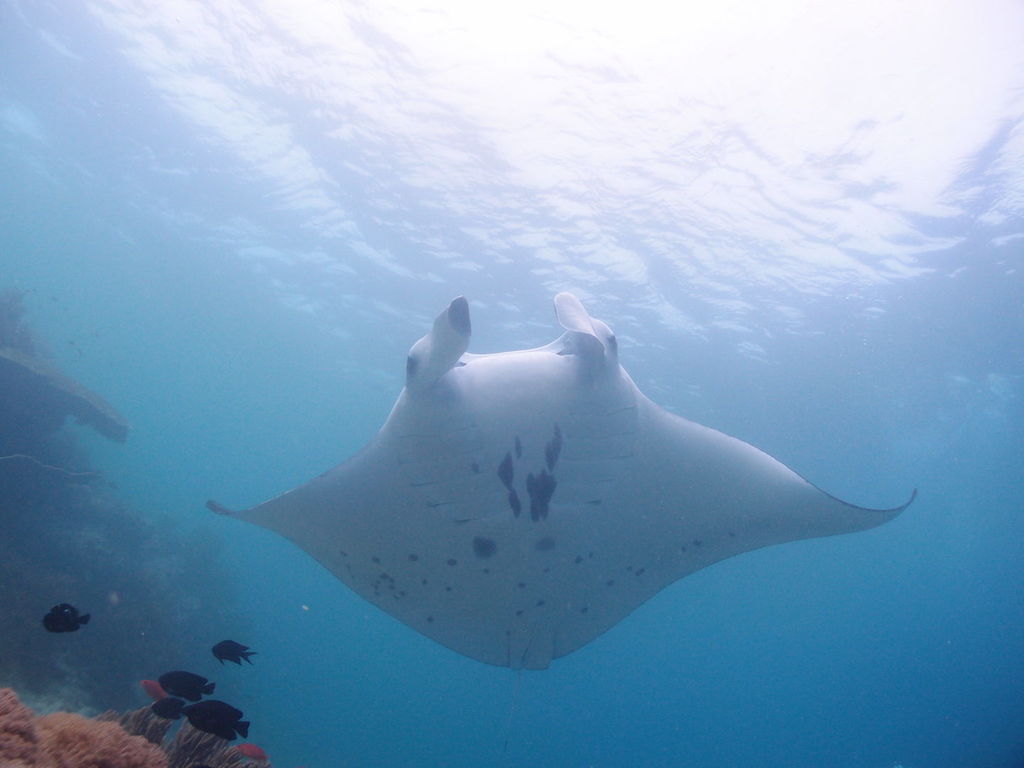 c8273165-67db-4613-a9da-4c72076559ad