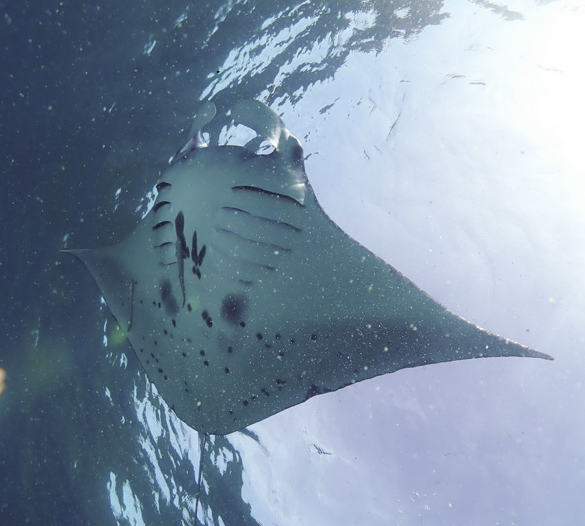 1c8c4979-22b0-46ae-85be-03cd7e71a0fe