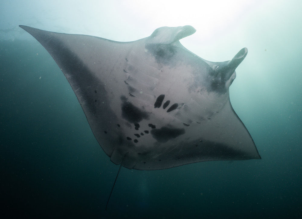 5f109472-67e7-411e-95e3-78b2ac58fc5b