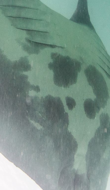 0076802b-280c-416d-931e-249774a38101