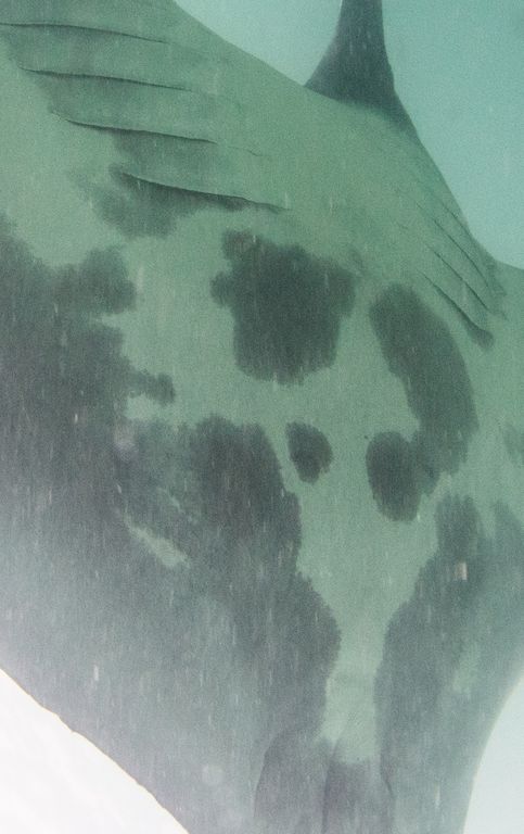 0076802b-280c-416d-931e-249774a38101