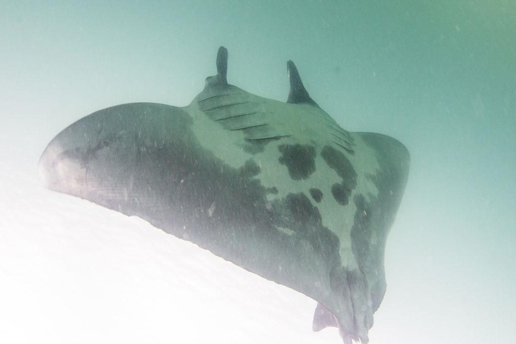 0076802b-280c-416d-931e-249774a38101