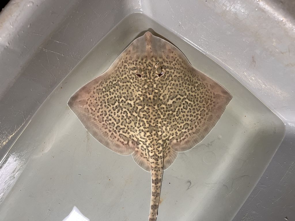 cb9d3d4c-8351-453b-8330-39a20c7c2d34