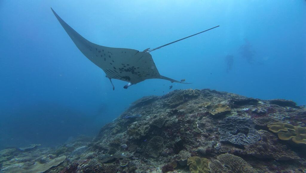 b8d909b5-0d94-48fc-b035-bd667bb92653