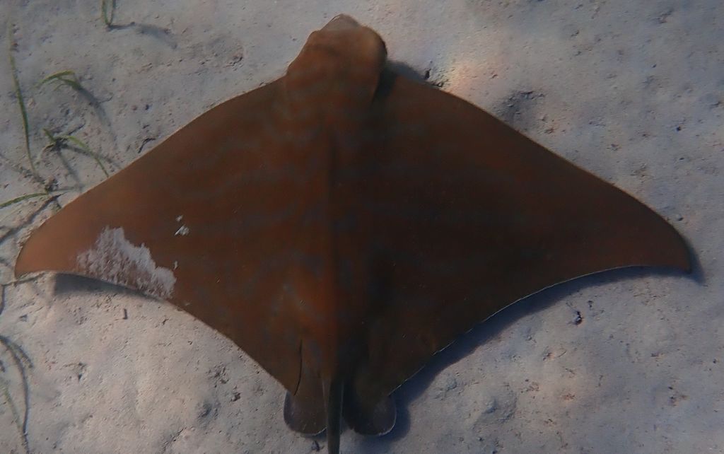 0000e9d7-6e66-47aa-9cbb-92a44f45b854