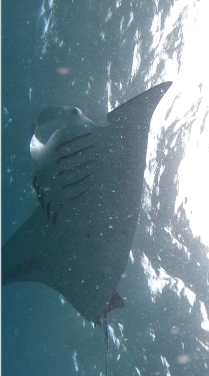 781c32fc-b8a0-4ff0-bbc6-948836cee481