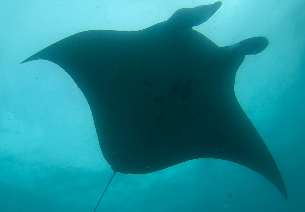 5fb6cc45-d6e9-49a7-9eba-307aafe28d41