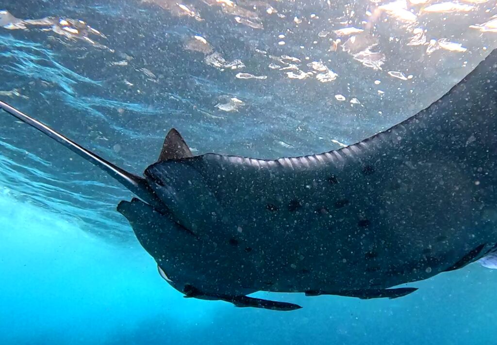 1c8c4979-22b0-46ae-85be-03cd7e71a0fe