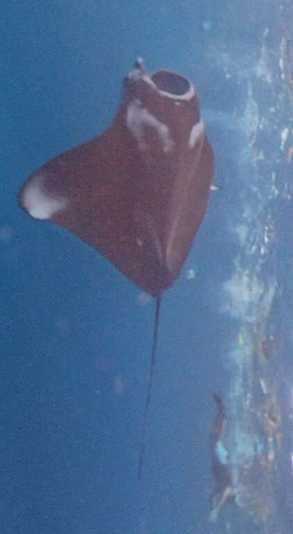 1c8c4979-22b0-46ae-85be-03cd7e71a0fe