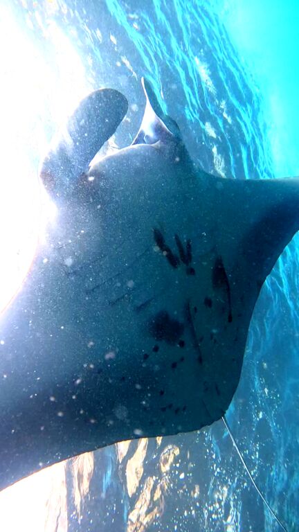 1c8c4979-22b0-46ae-85be-03cd7e71a0fe