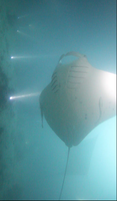 7a1c6d9a-9c84-418d-a4c7-6c7443f4caab