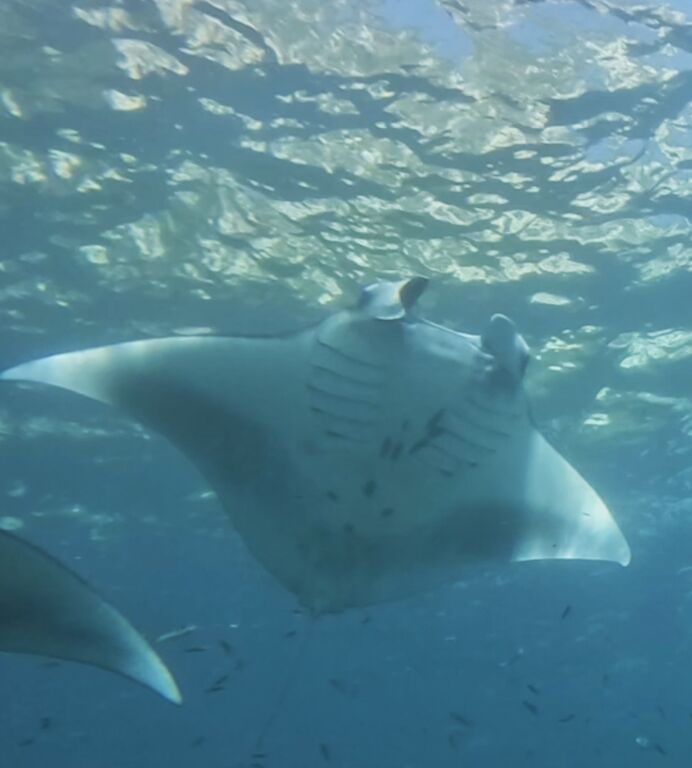 95c5b764-5171-4079-9eee-a03fc3718363