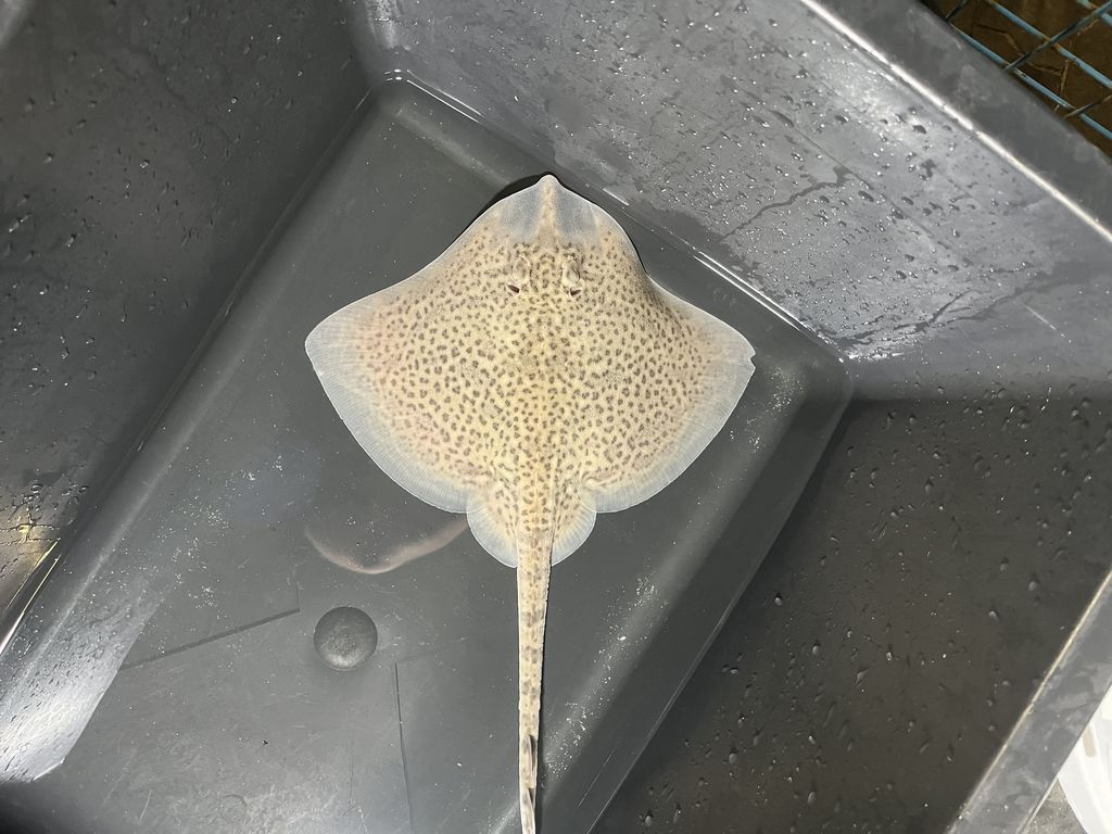 6a4f8140-a56a-40ca-96b9-596ffc34399e