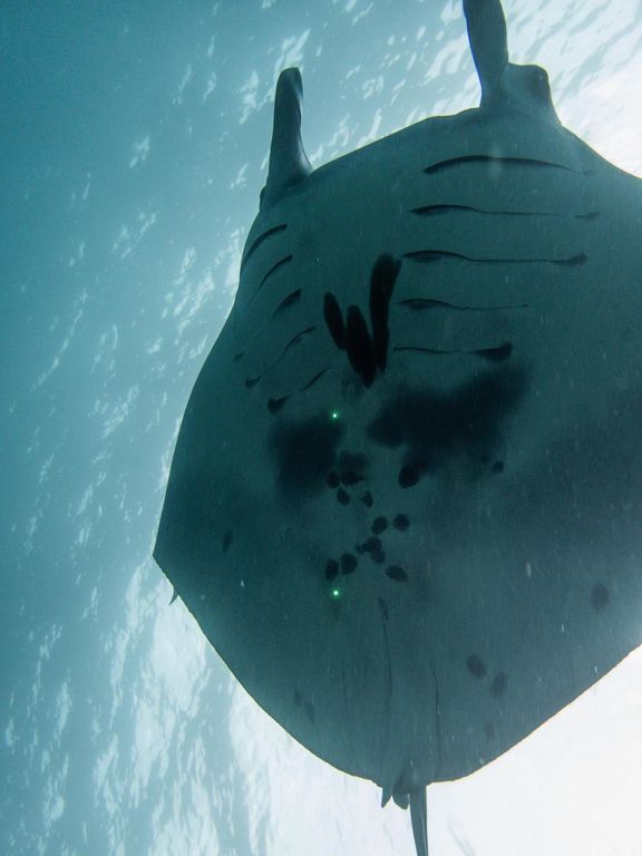 6f06bafb-2960-45e0-8243-d17902ae978c