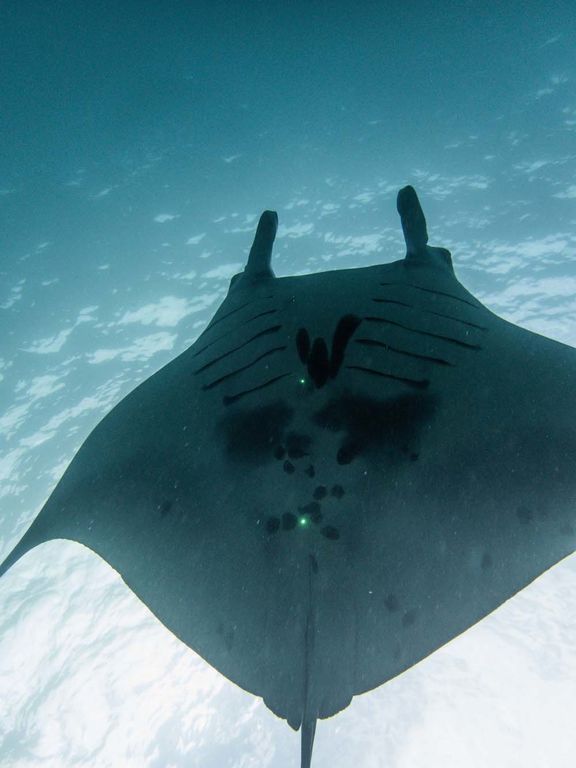 6f06bafb-2960-45e0-8243-d17902ae978c