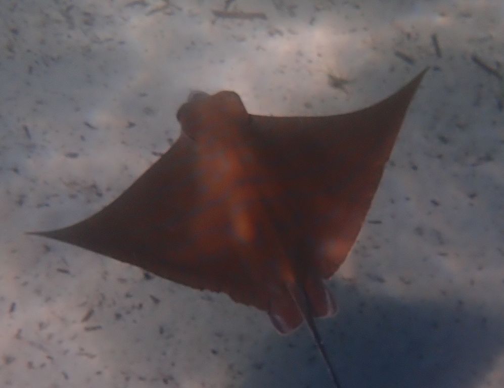 0000e9d7-6e66-47aa-9cbb-92a44f45b854