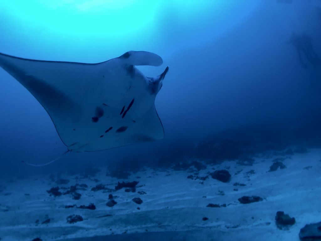 b54dac66-bf52-4763-8241-3790086fd06f