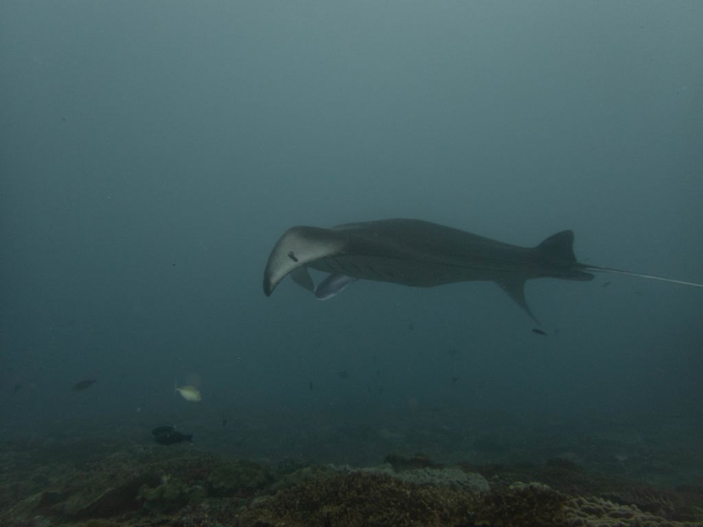 5fb6cc45-d6e9-49a7-9eba-307aafe28d41