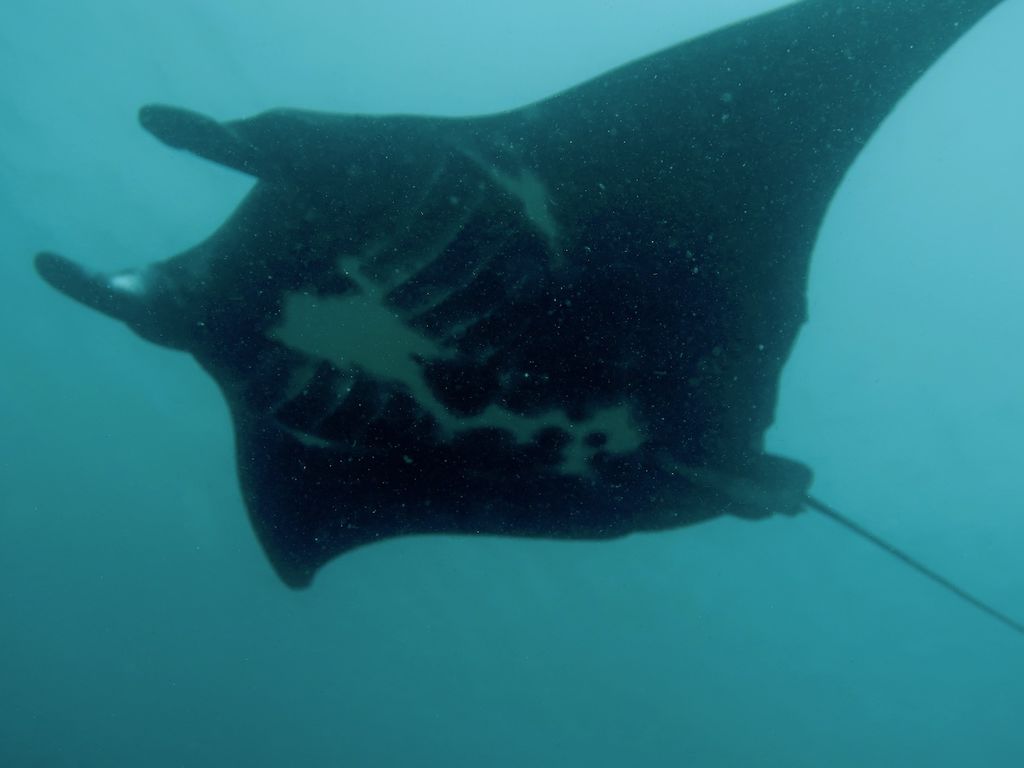 073243b6-2c4e-457e-9ec1-af8141643ea1