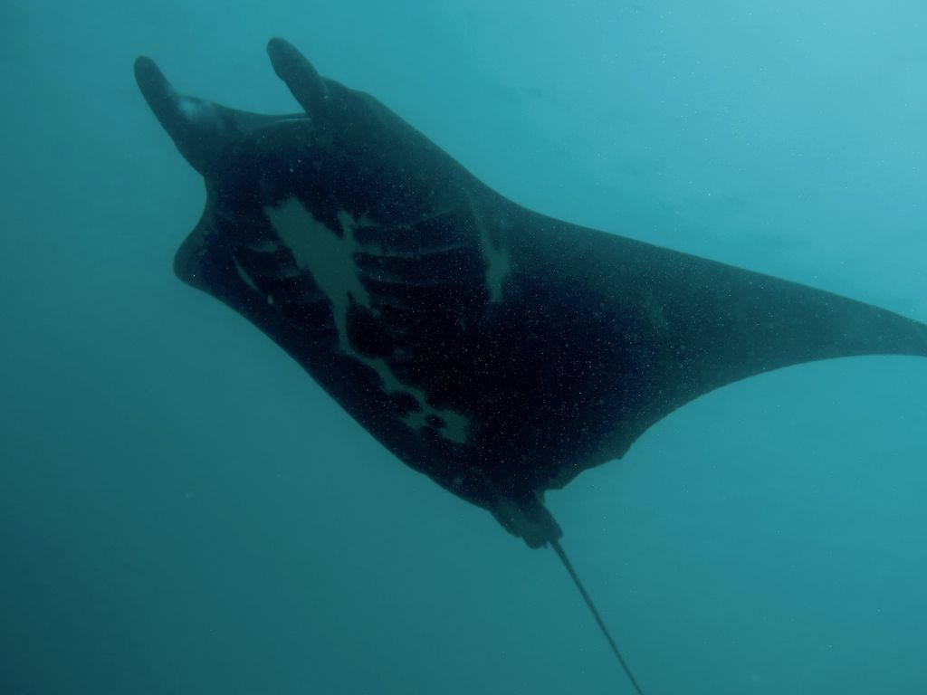 073243b6-2c4e-457e-9ec1-af8141643ea1