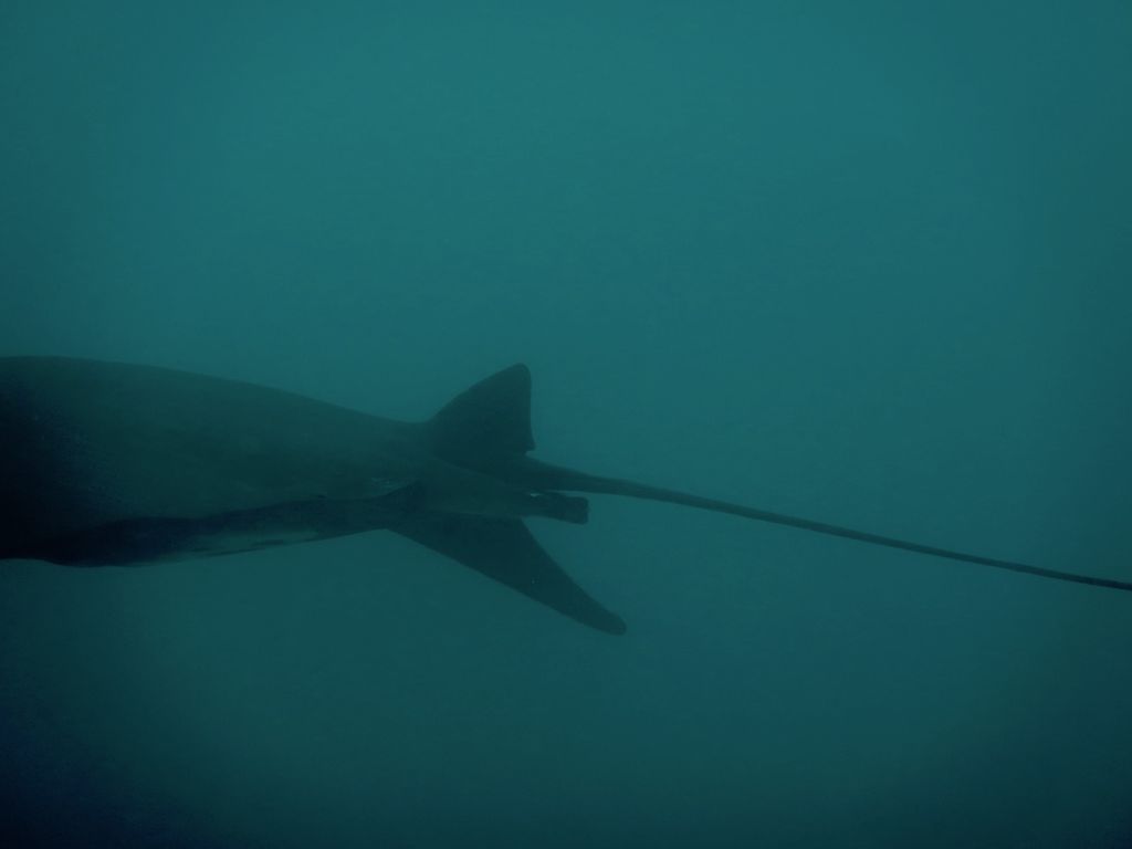 073243b6-2c4e-457e-9ec1-af8141643ea1