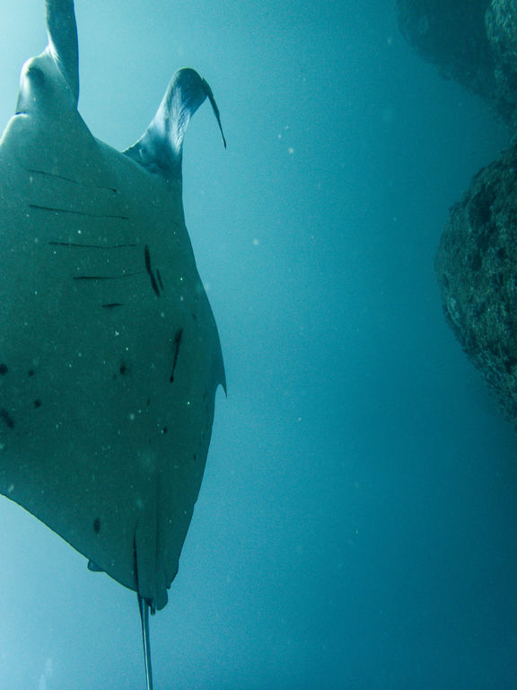 b4c3275c-51ce-4027-9d8c-fa3a9284da53