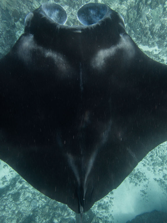 0fbed471-cb95-4f11-8f18-ced13cc99e62