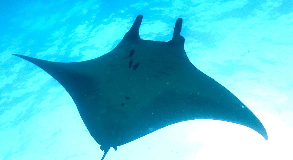 a903d124-de14-4d10-9b8c-2c26e4d26519