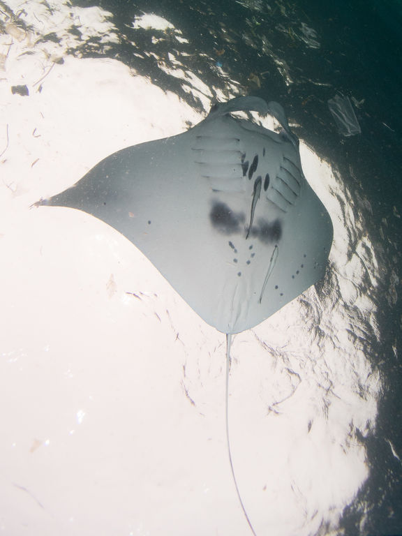 794275da-3483-4373-8a99-9a60512b8a56