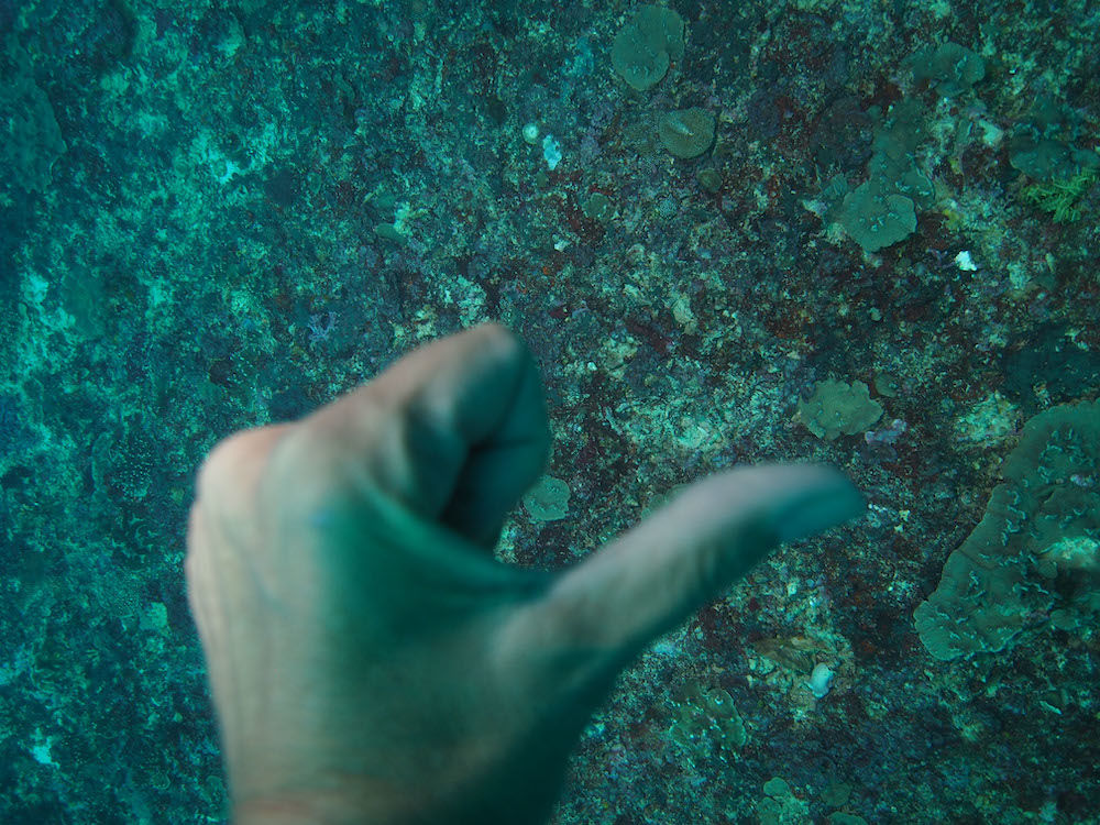 b778e213-6903-4614-8b20-b2f898d13a2e