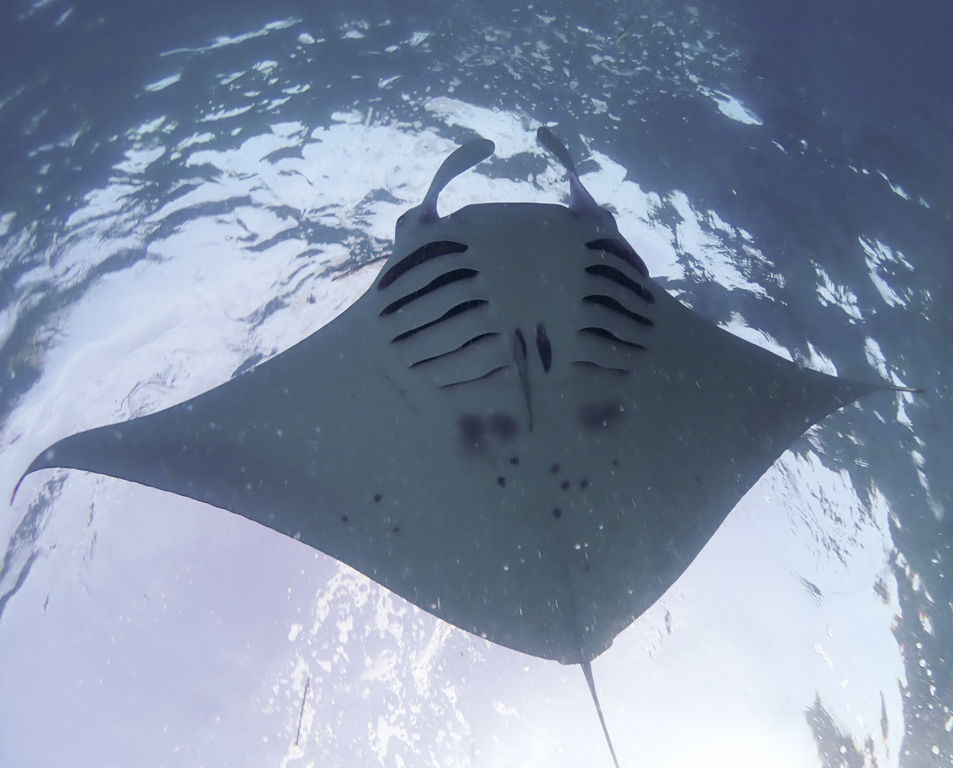 ca487990-7ddf-4e50-a701-6d610b60628f