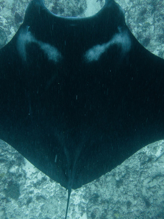 9709459a-d3de-4ab9-825f-c08ae55c961c