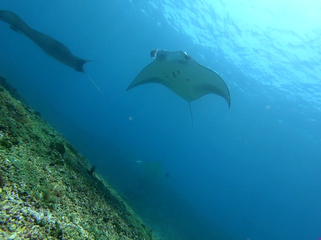 717af837-b678-45b9-ab9b-68ef69d130ac