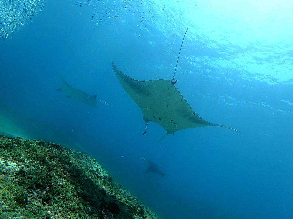 717af837-b678-45b9-ab9b-68ef69d130ac