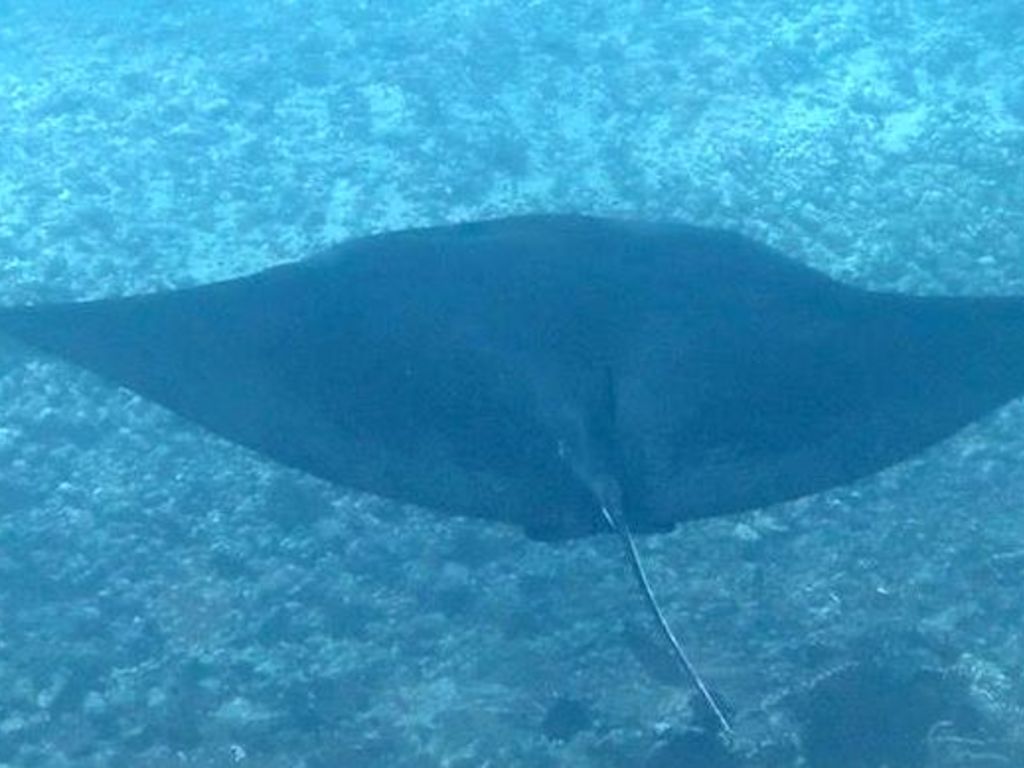 b1da55e3-f955-404f-a43d-af198206f392