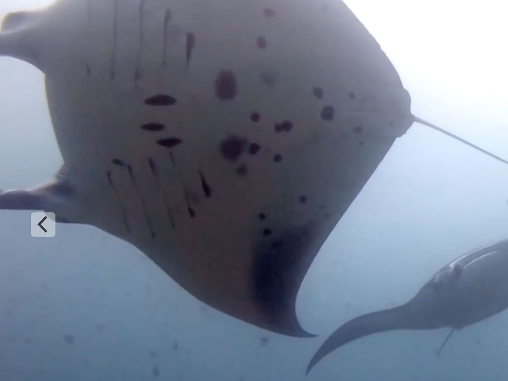 73299176-3b2c-474e-ac8e-3e8189161b6c