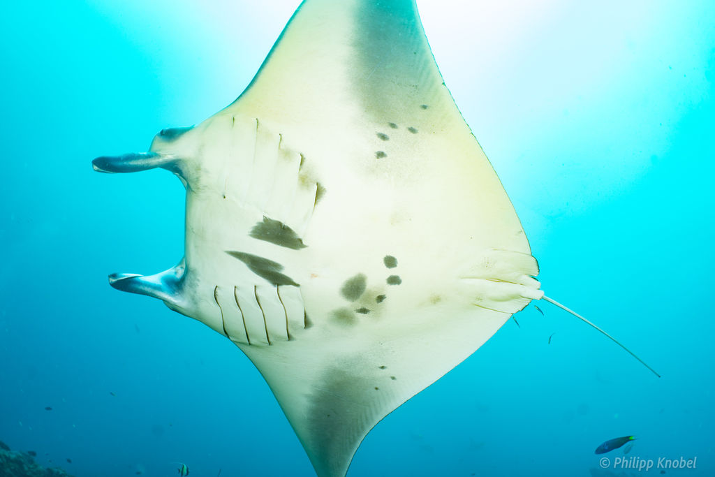 51fc8cc3-d66a-4598-bde8-07e7e450569b