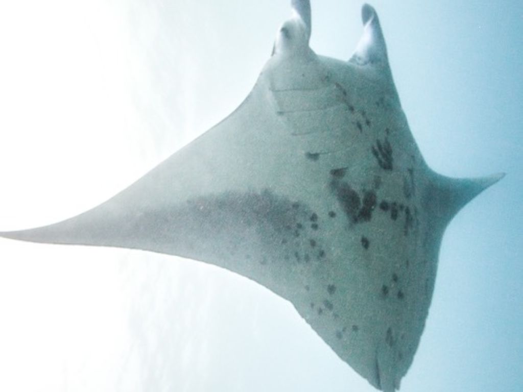 8f545e26-6835-4876-a329-4870dfada460