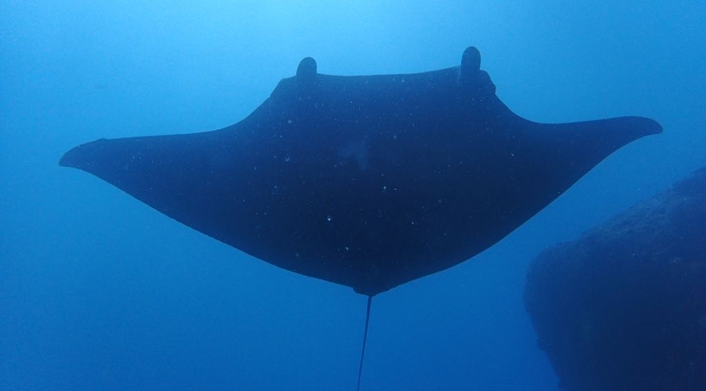 8fbd3a70-1458-450c-8ac5-891a2709ede3