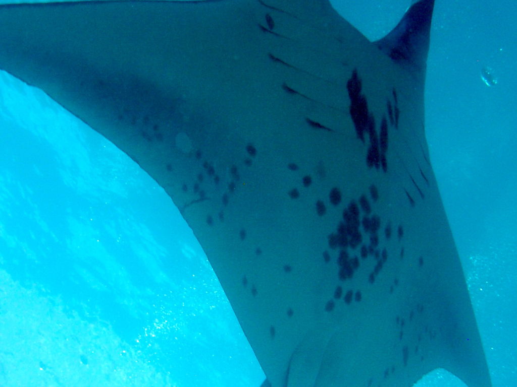 7a748fbb-6221-46b8-b577-514282ecfe09