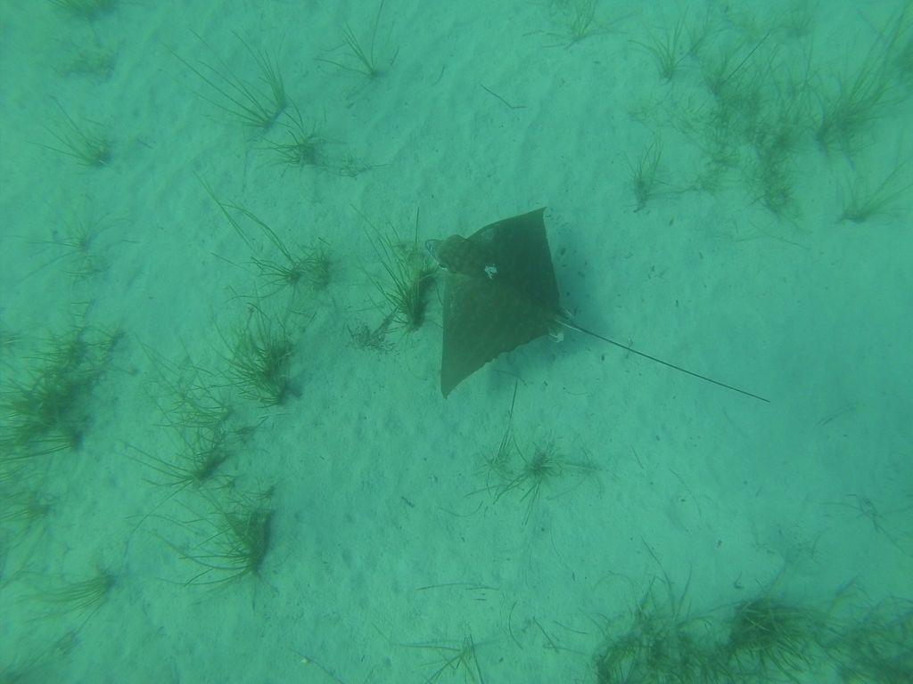 980e8fb7-71ce-456e-b5a3-12520ba1ece2