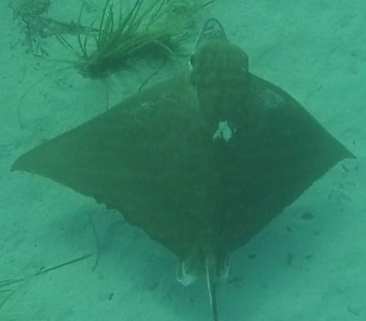 980e8fb7-71ce-456e-b5a3-12520ba1ece2