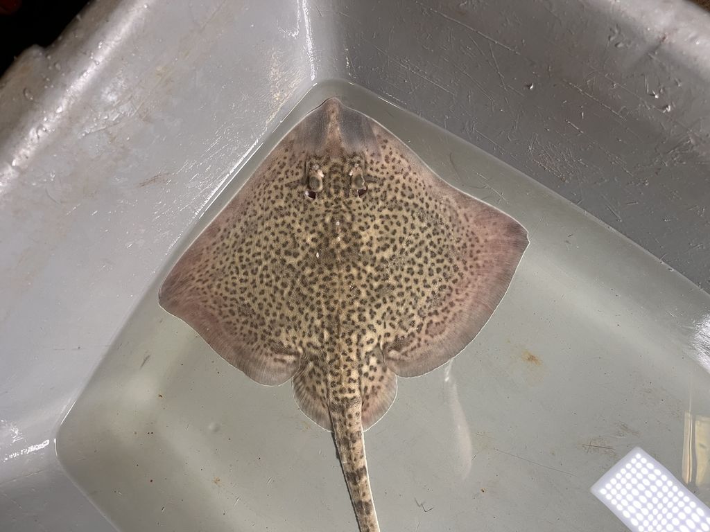 6a4f8140-a56a-40ca-96b9-596ffc34399e