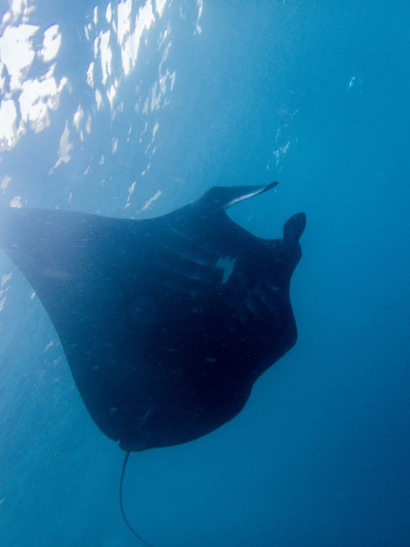 8fbd3a70-1458-450c-8ac5-891a2709ede3