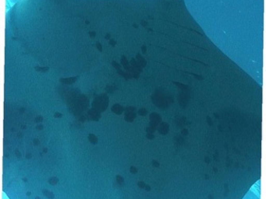 8f545e26-6835-4876-a329-4870dfada460