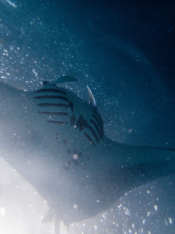 d313747b-ce22-49f2-83cb-2118a9ab10d1