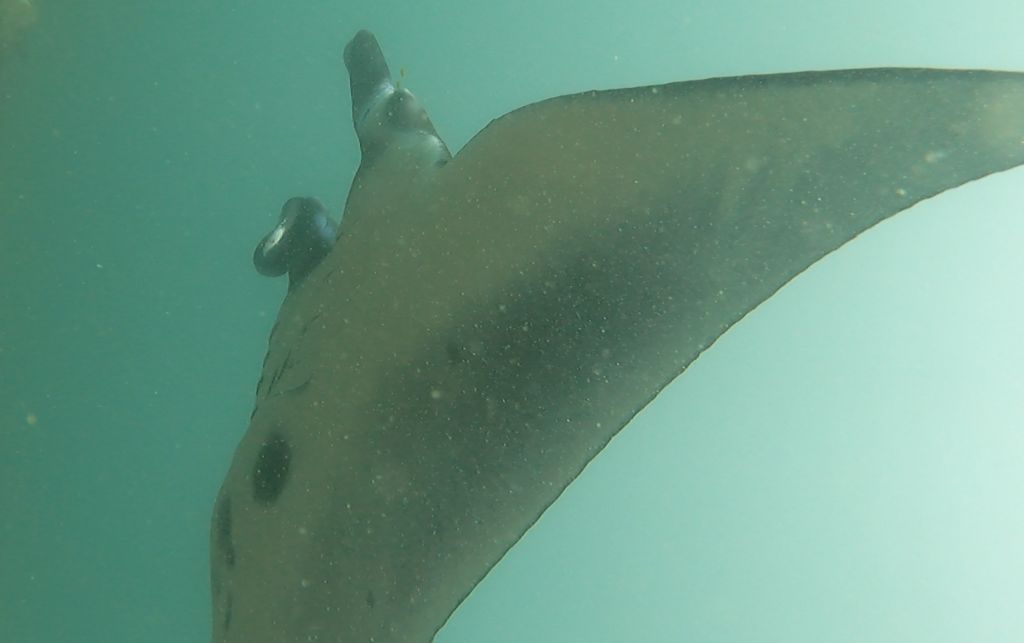 2a4ad653-953f-4945-964b-d7f1ba25e96f