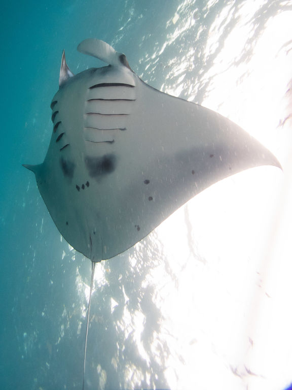 0c5e9620-a449-48a0-a892-5063d9be0f2c